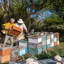 G37A0635 29/04/2019 - De passage chez nos amis Martinez à Sierra de la Ventana, un p'tit coup de main dans les ruchers. Short stop at our friends the Martinez in Sierra...